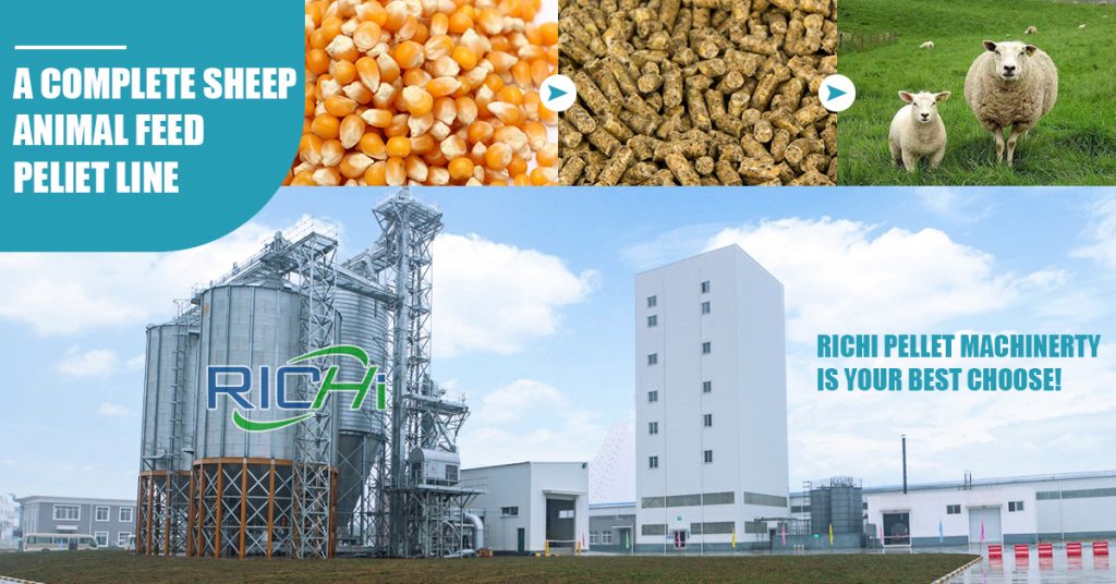 poultry feed manufacturing plant
