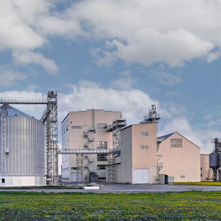 Installation Timeline for a 20 t/h Animal Feed Production Machine