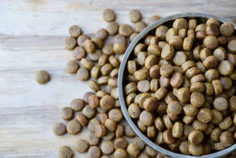 Can Twin-Screw Pet Food Extruder Machines Be Used to Produce Fish Feed?