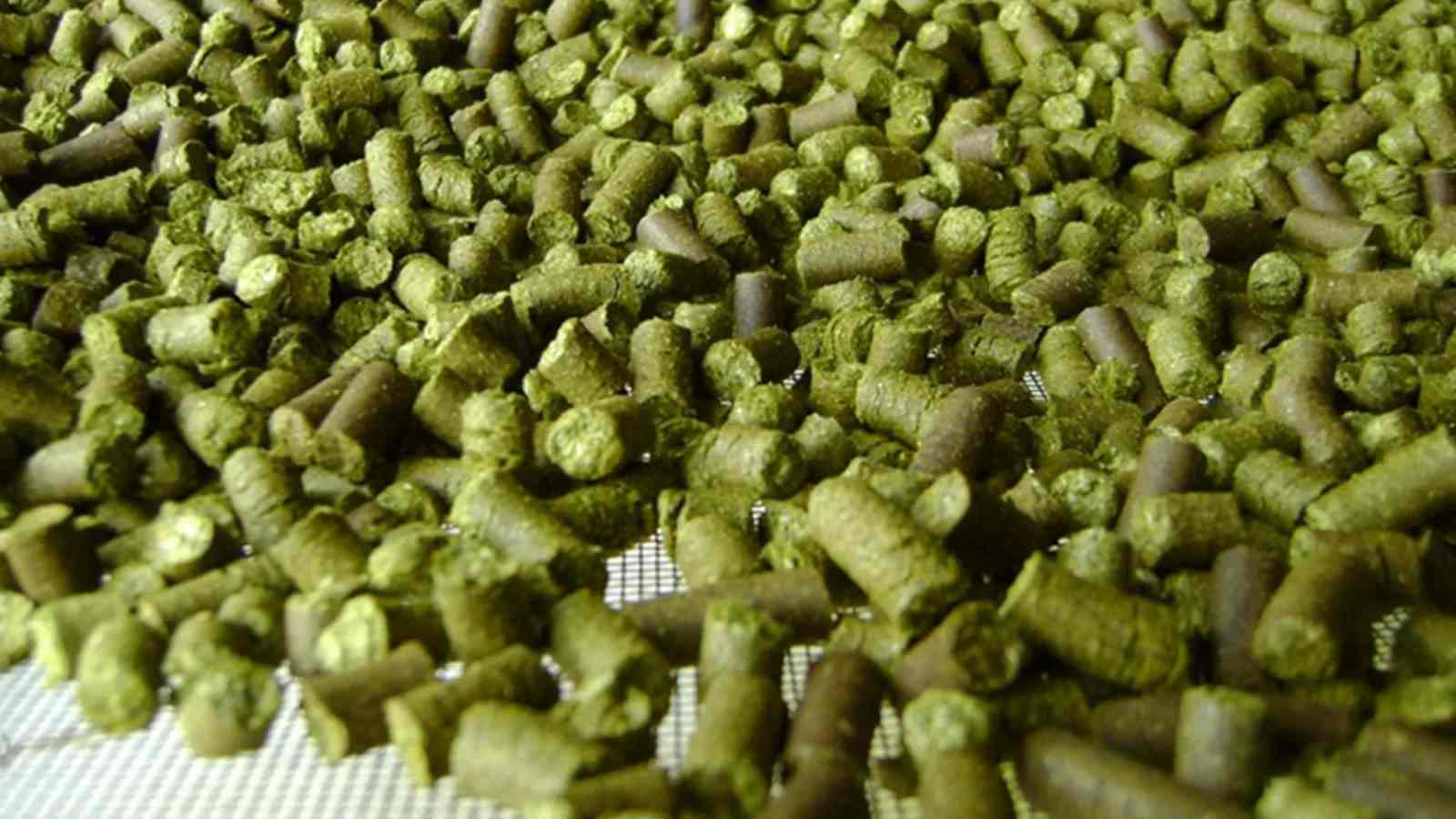 Forage pellet making machine for sale australia