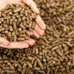 efb pellets on the hand
